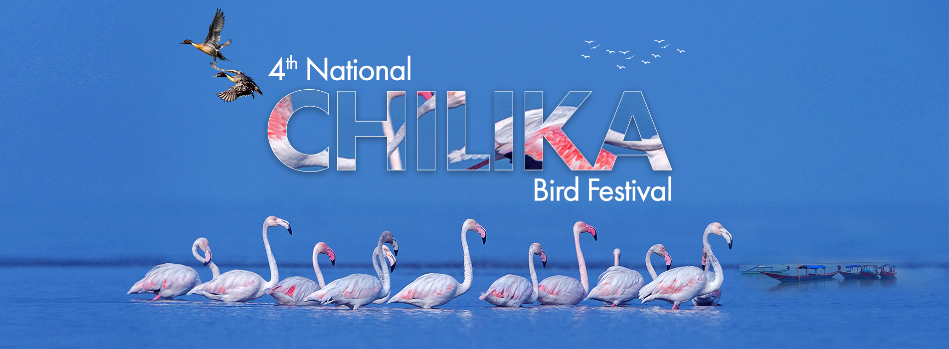 Chilka Bird Festival 2023