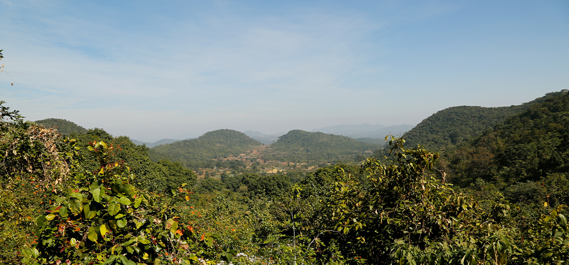 Daringbadi - The Kashmir of Odisha