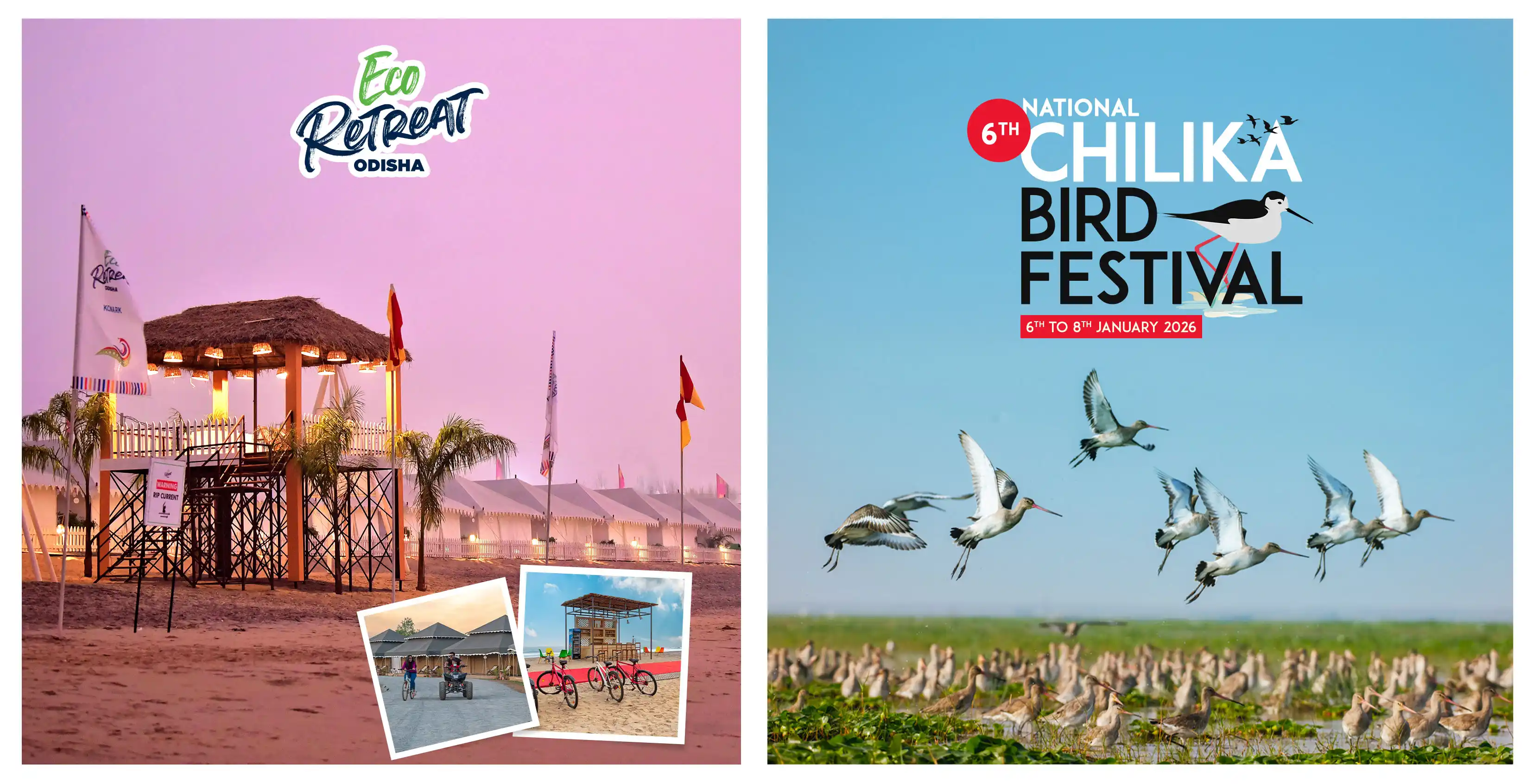 Eco Retreat and Chilika Bird Festival