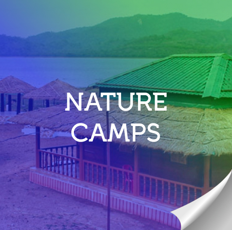 Nature Camps