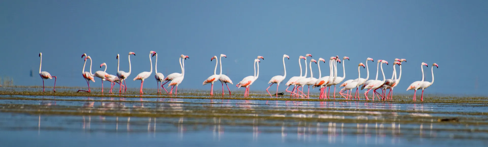 Odisha at a Glance