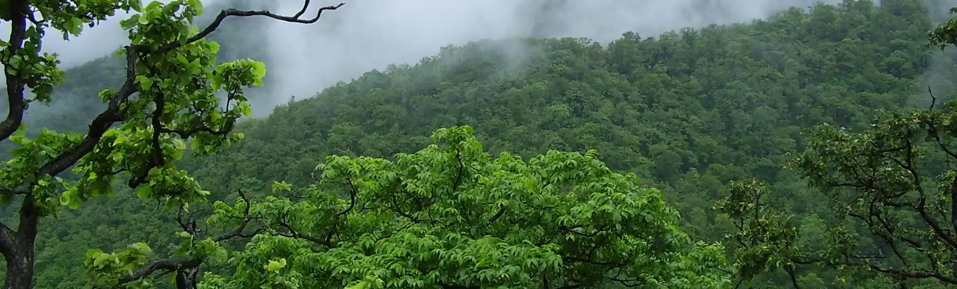 East Odisha Epicenter