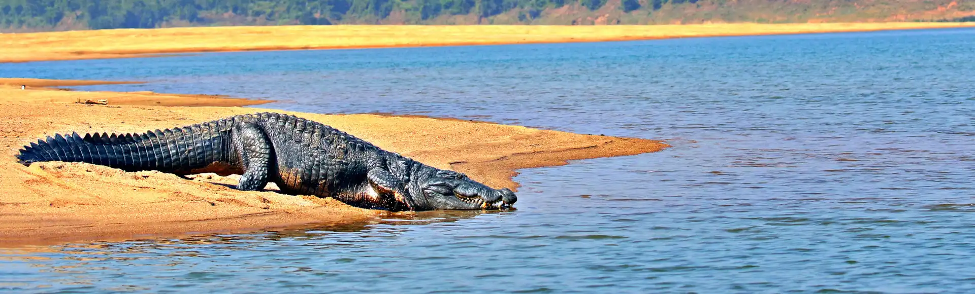 Odisha at a Glance