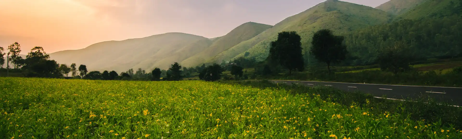 East Odisha Epicenter