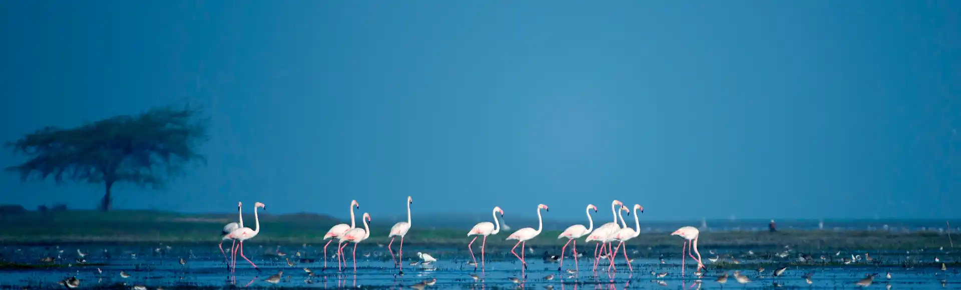 Odisha at a Glance
