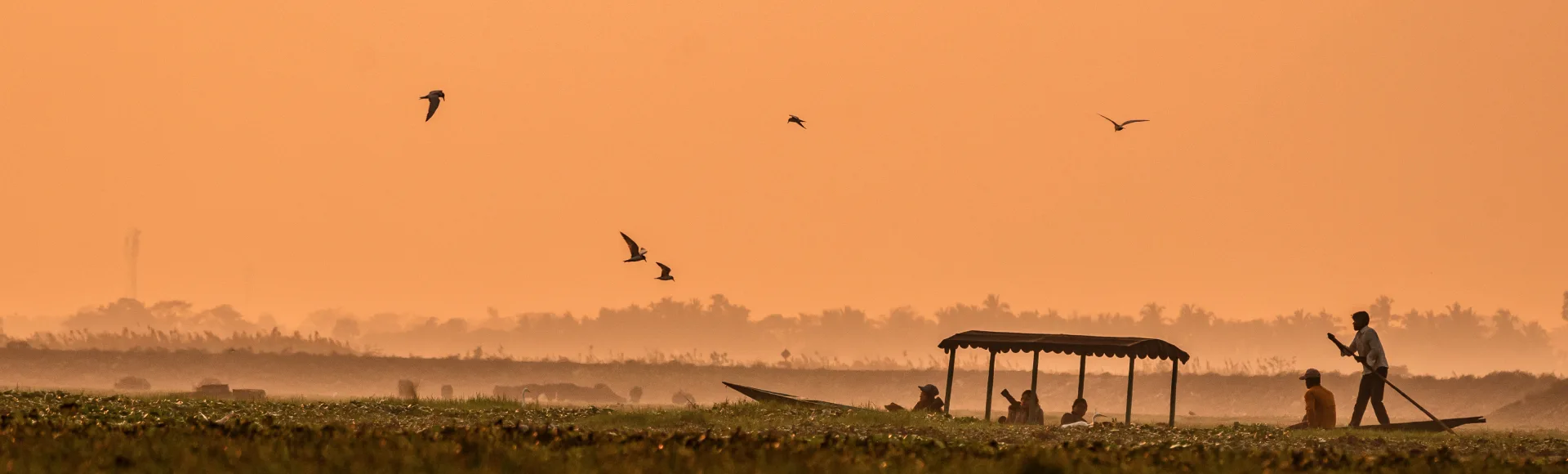 Odisha at a Glance