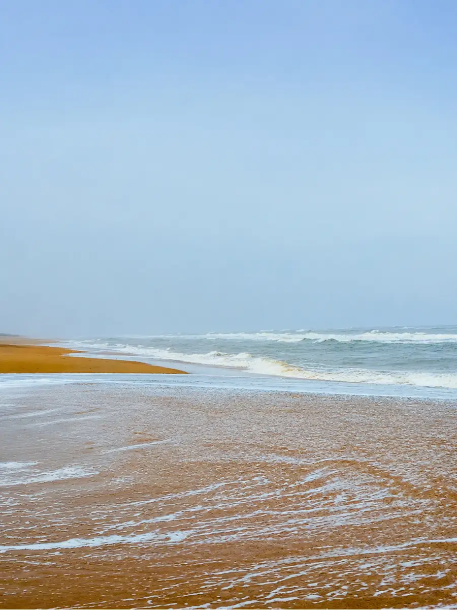 east-od-Astaranga-Beach-card.webp
