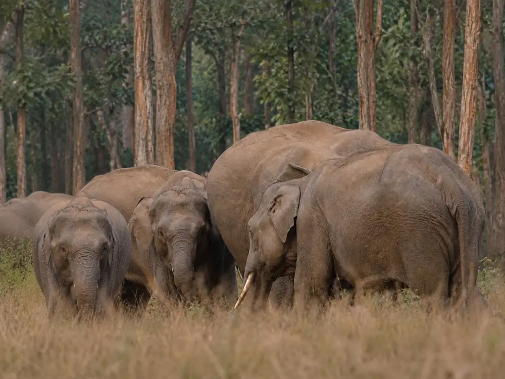 NATIONALPARKS&SANCTUARIES.webp