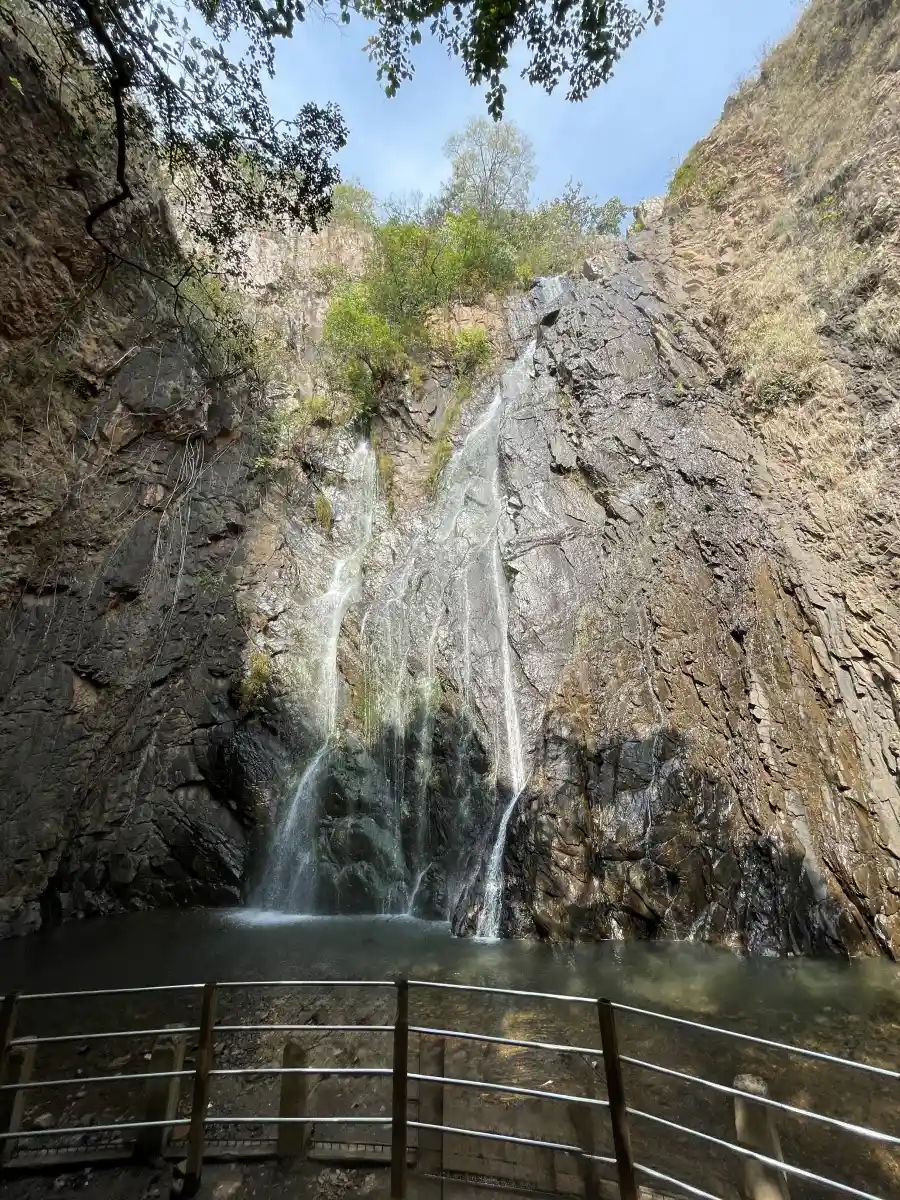 Debagada