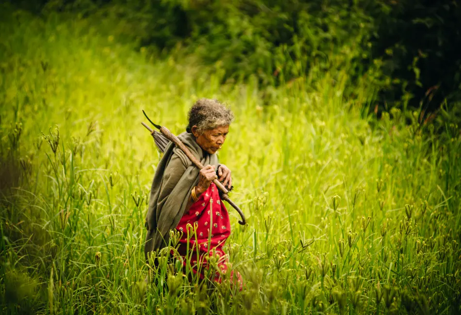 rural-village-tourism.webp