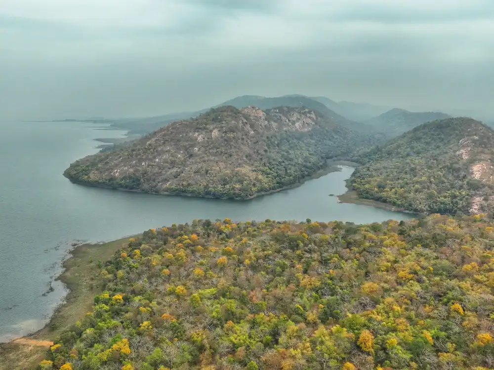 WATERFALLS-HILLS&FORESTS.webp