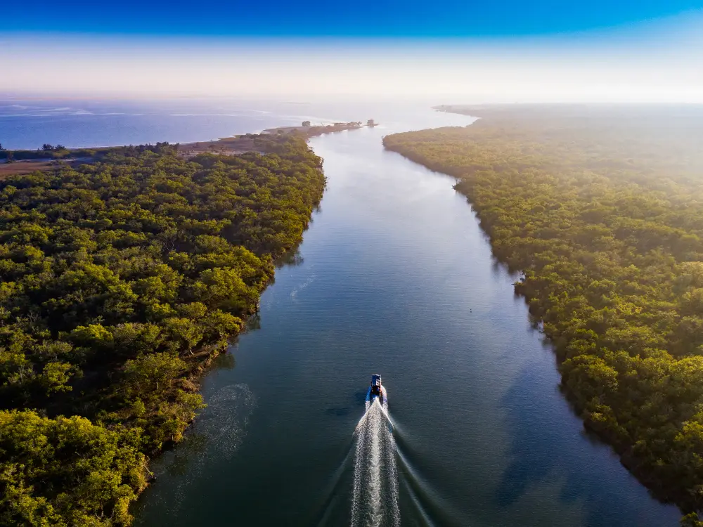 WETLANDS&MANGROVES.webp